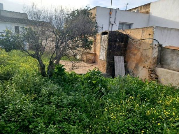 Felanitx